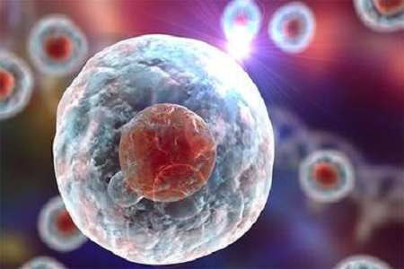 Babio သည်အဆင့်မြင့် cytogenetic နှင့် hematologic diagnosy များအတွက်အရည်အသွေးမြင့် giements stain b ဖြေရှင်းချက်ကိုစတင်ခဲ့သည်
