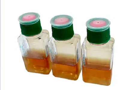 BABIO Blood Culture Bottles များသည် သွေးလမ်းကြောင်းပိုးဝင်ခြင်းကို ပိုမိုမြန်ဆန်ပြီး ယုံကြည်စိတ်ချရသော ထောက်လှမ်းမှုကို ပံ့ပိုးပေးပါသည်။