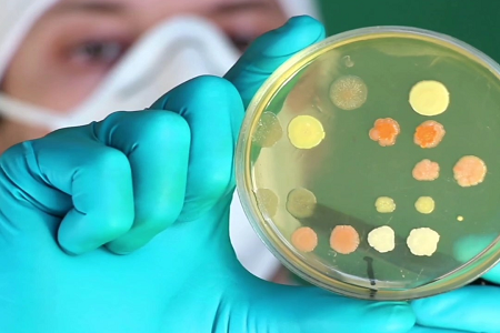 BABIO သည် Global Clinical & Lab Microbiology အတွက် ပရီမီယံ Trypticase Soy Broth (TSB) ကို မိတ်ဆက်ခဲ့သည်