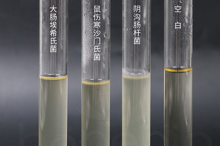 Babio ဇီဝနည်းပညာသည် ယုံကြည်စိတ်ချရသော ရောဂါပိုးမွှားများကို မွေးမြူရန်အတွက် စွမ်းဆောင်ရည်မြင့်မားသော ဦးနှောက်နှလုံးရည်ဖျော်ရည်ကို စတင်ထုတ်လုပ်လိုက်သည်