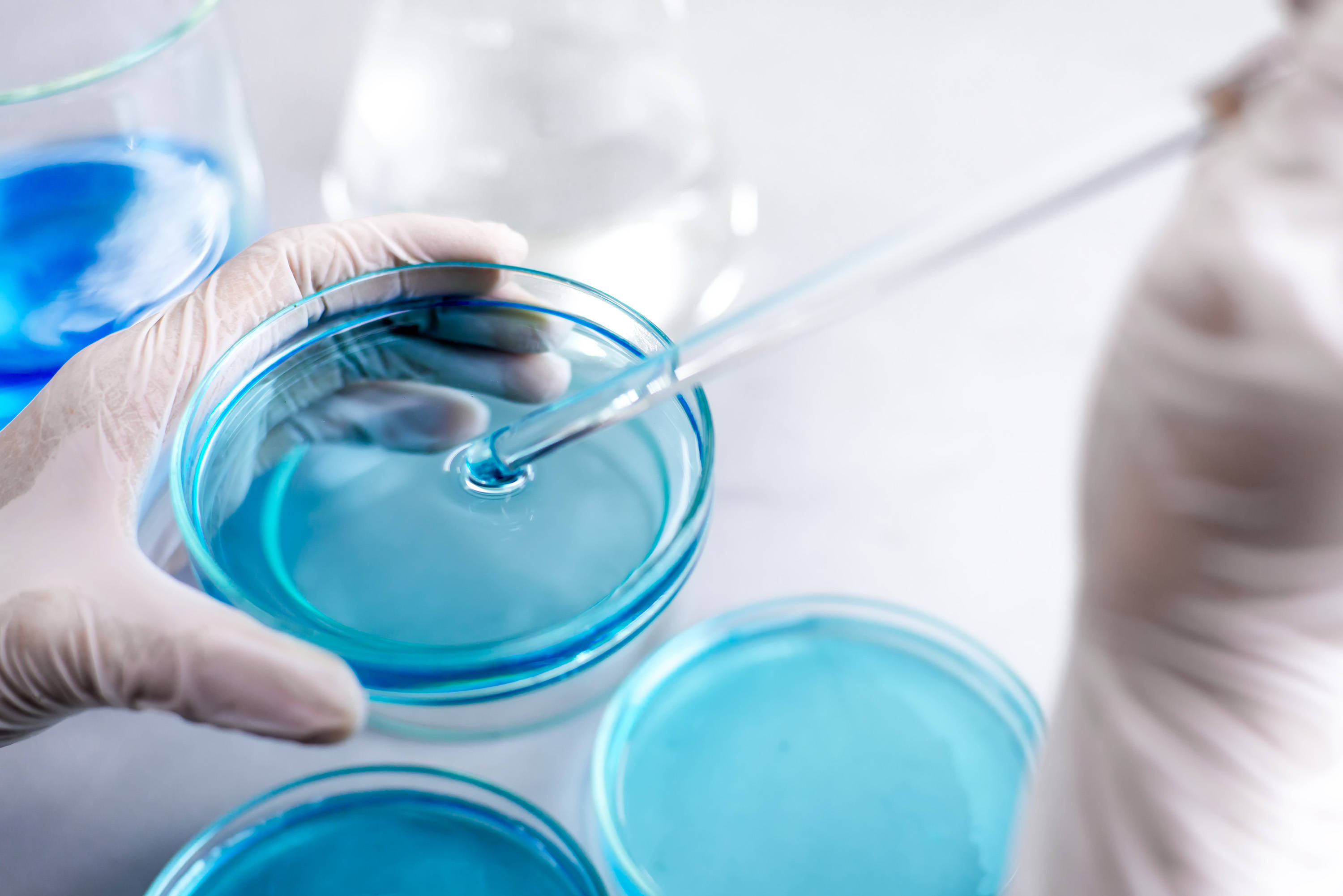 BABIO Nutrient Agar Medium သည် Environmental Microbial Monitoring ကို မြှင့်တင်ပေးသည်။
