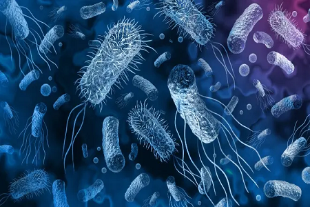 BABIO သည် လျင်မြန်သော Antigen Detection Solutions ဖြင့် Global Influenza Testing ကို အားကောင်းစေသည်။
